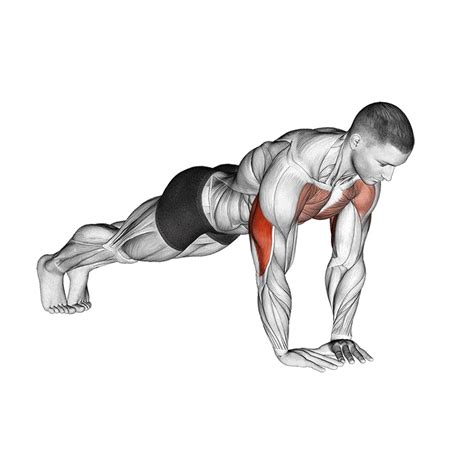 diamond push ups muscles